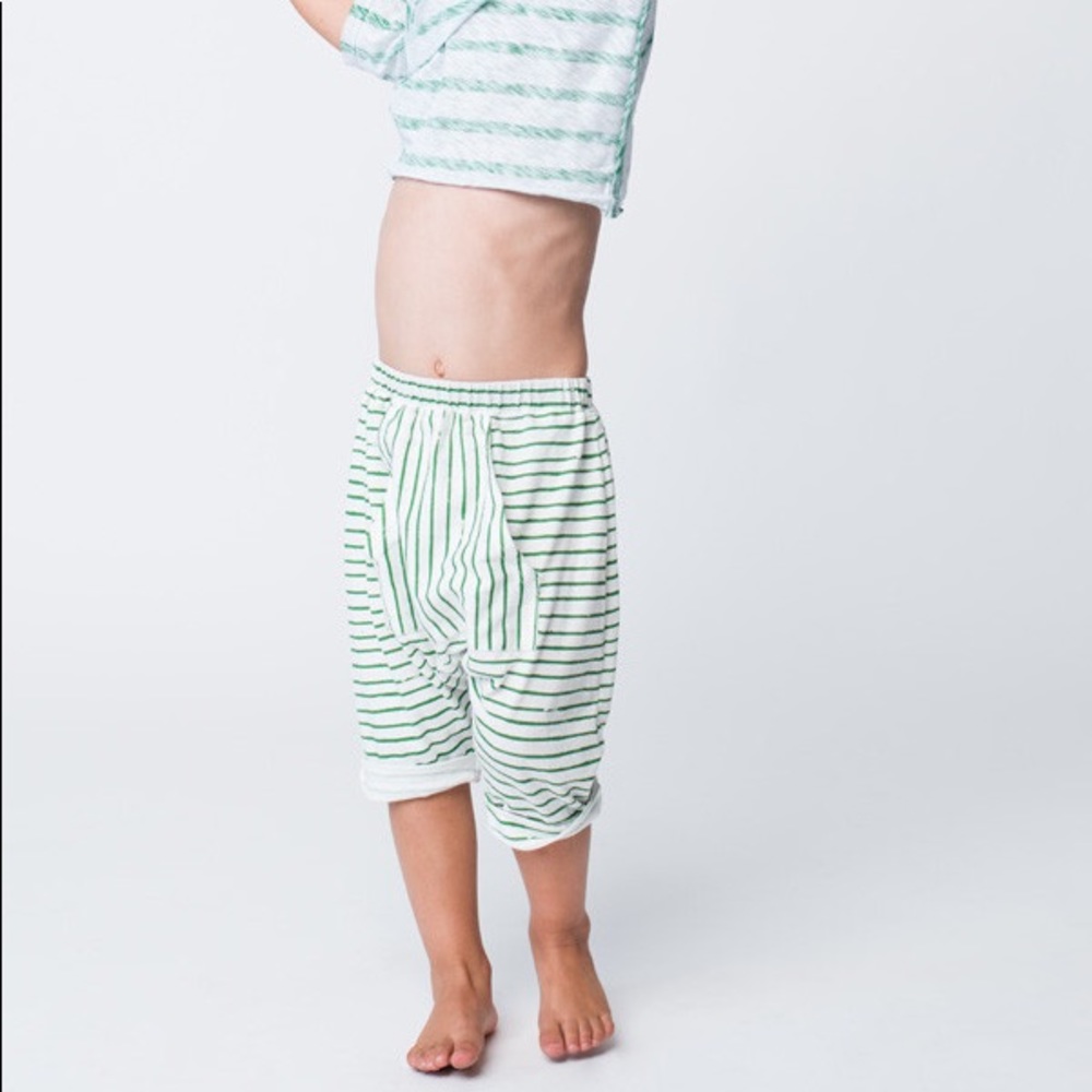NWT Neve / Hawk The Pocket Shorts In Green Stripe